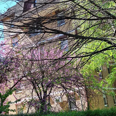 Rivijera Belgrad