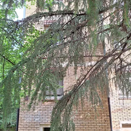 Rivijera Lägenhet Belgrad